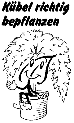 Kübel richtig bepflanzen