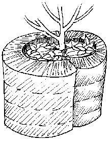 Winterschutz für Kübel