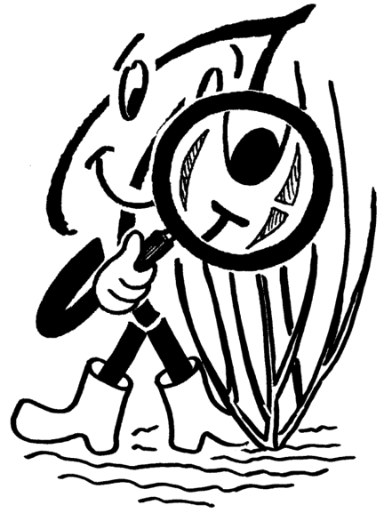 Pflanzenqualität erkennen