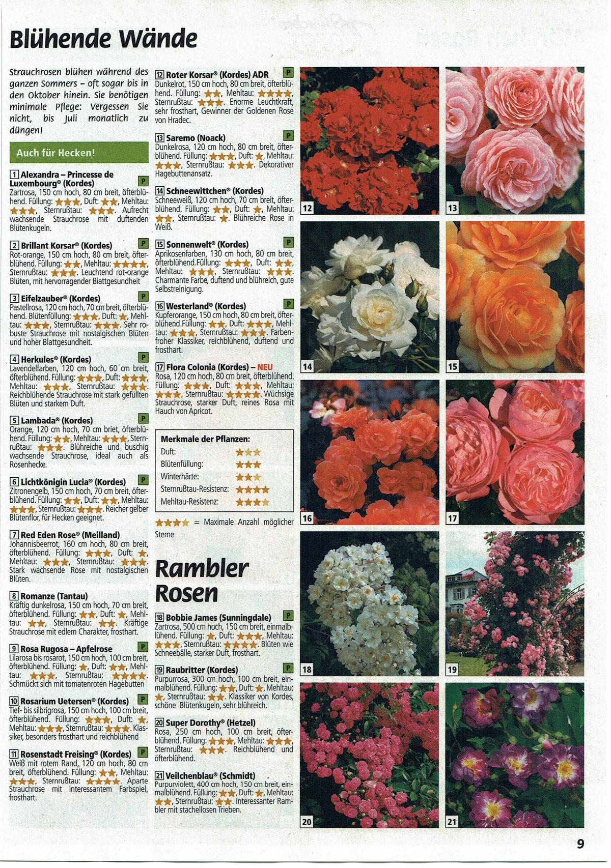 Helmstetter GmbH GartenFachmarkt und Baumschule Katalog 2019