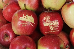 22. Regionaler Apfelmarkt