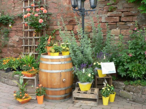 Häckerzeit im Weingut Giegerich