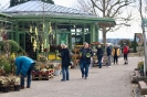 Gertrauismarkt_2018_26