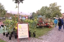 Apfelmarkt 2016 _19