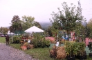 Apfelmarkt 2016 _22