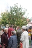 Apfelmarkt 2017 Aschaffenburg_18