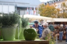 Apfelmarkt 2017 Aschaffenburg_41