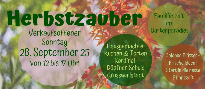 Kirchweihmarkt 2025