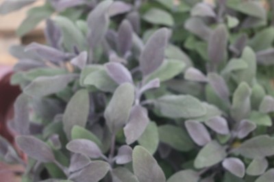 Keine Abbildung zugeordnet 