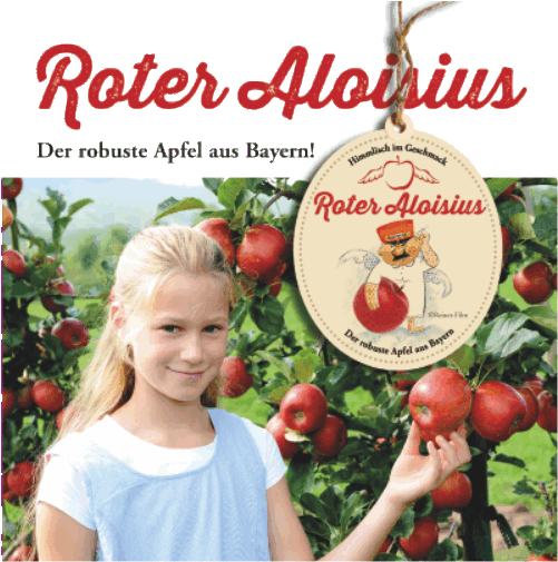 Roter Aloisius